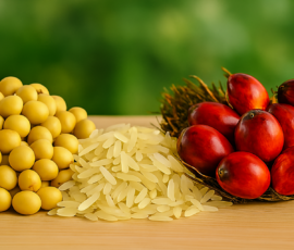 Beans rice palm